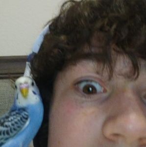 Meet your Posher, Will